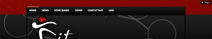 Palestra Fitzone website screenshot